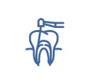 Root Canals